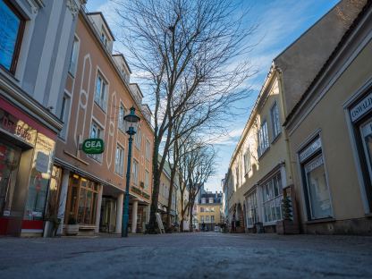 Mit der Neugestaltung der Schreinergasse werden die fünf Lederhülsenbäume durch sieben neue Bäume ersetzt. (Foto: Arman Kalteis)