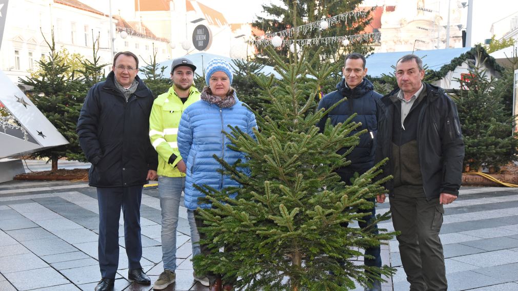 Bürgermeister Matthias Stadler, Stadtgärtner Daniel Brandtner, Monika Hromecek und Peter Eigelsreiter von der städtischen Sozialhilfe sowie Landwirt Karl Sommer mit einem Christbaum am Rathausplatz. (Foto: Josef Vorlaufer)