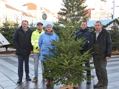 Bürgermeister Matthias Stadler, Stadtgärtner Daniel Brandtner, Monika Hromecek und Peter Eigelsreiter von der städtischen Sozialhilfe sowie Landwirt Karl Sommer mit einem Christbaum am Rathausplatz. (Foto: Josef Vorlaufer)