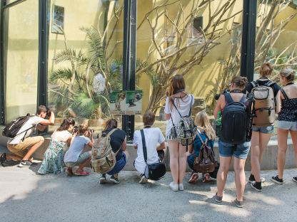 Bei der Fotoakademie lernen die Jugendlichen kreative Ideen in kunstvolle Fotos zu verwandeln. (Foto: Fotoakademie St. Pölten)