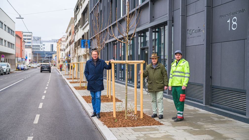 19 Jungbäume hat die Stadtgärtnerei in der Kremser Landstraße eingepflanzt. v.l.: Bürgermeister Matthias Stradler, Helmut Stiegler und Daniel Brandtner von der Stadtgärtnerei. (Foto: Arman Kalteis)