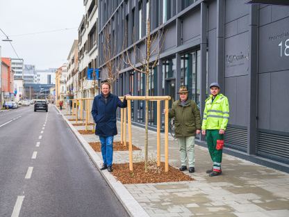 19 Jungbäume hat die Stadtgärtnerei in der Kremser Landstraße eingepflanzt. v.l.: Bürgermeister Matthias Stradler, Helmut Stiegler und Daniel Brandtner von der Stadtgärtnerei. (Foto: Arman Kalteis)