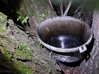 Ein Kübel mit umweltbelastendem Altöl in einem Baum in der Au. (Foto: FF St. Pölten)