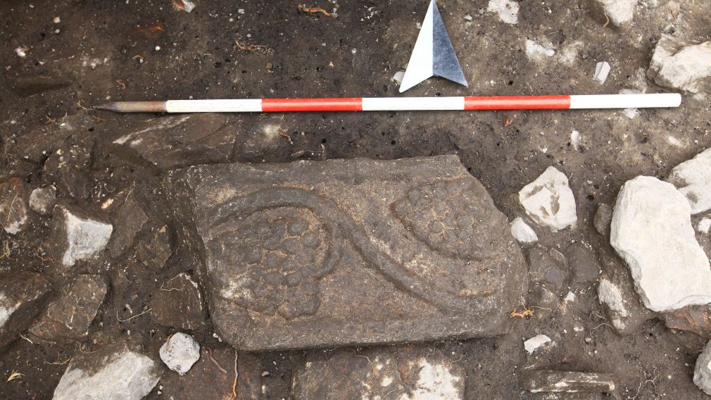 Eine Abbildung des Fundes von einem römerzeitlichen reliefierten Stein mit der Darstellung von Weintrauben auf einer Ranke. (Foto: Stadtmuseum St. Pölten )