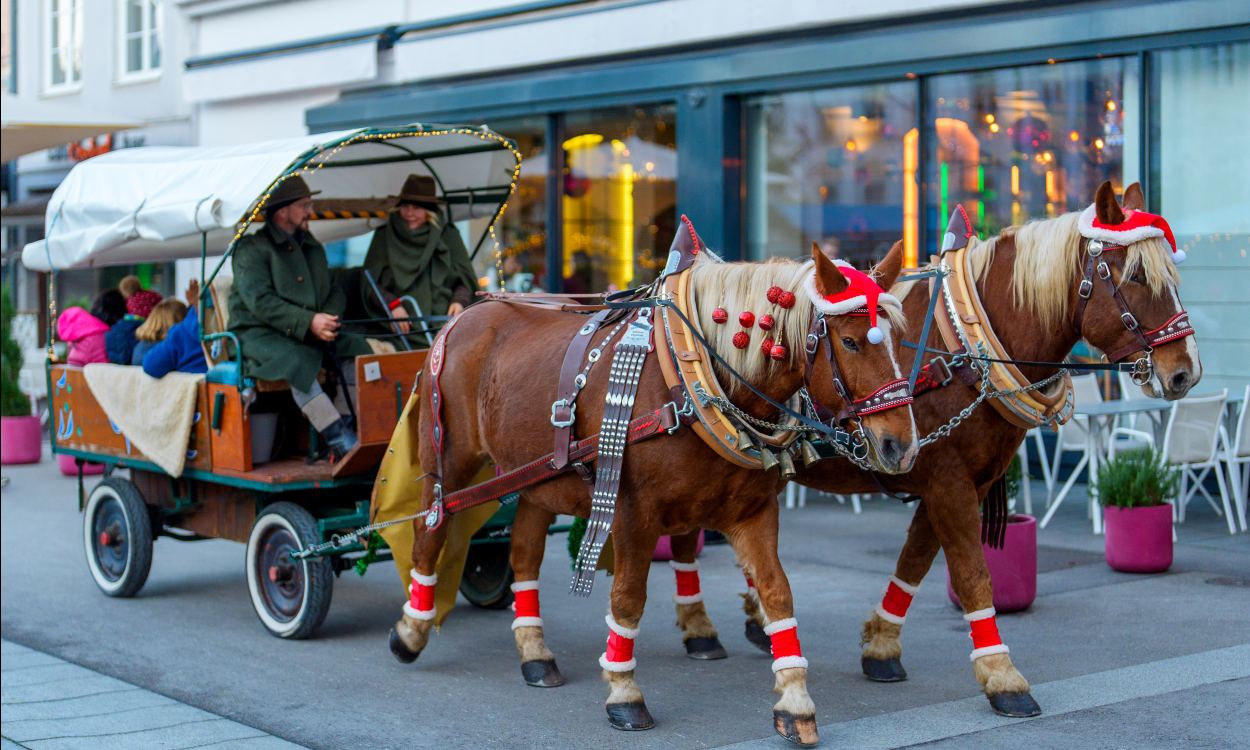 Stimmungsvoll — Weihnachten in der Innenstadt