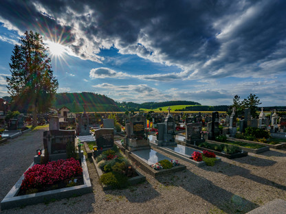 Hauptfriedhof St. Pölten. (Foto: Josef Bollwein)