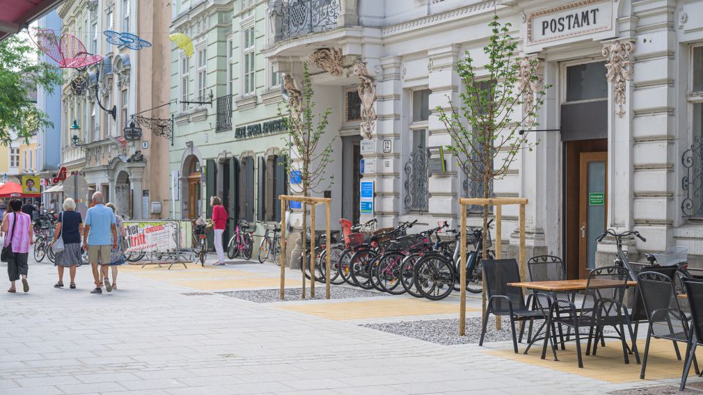 Neugepflanzte Bäume in der Innenstadt vor der ehemaligen Post. (Foto: Arman Kalteis)