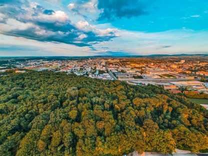 Luftaufnahme Stadtwald und bebautes Stadtgebiet. (Foto: Arman Kalteis)