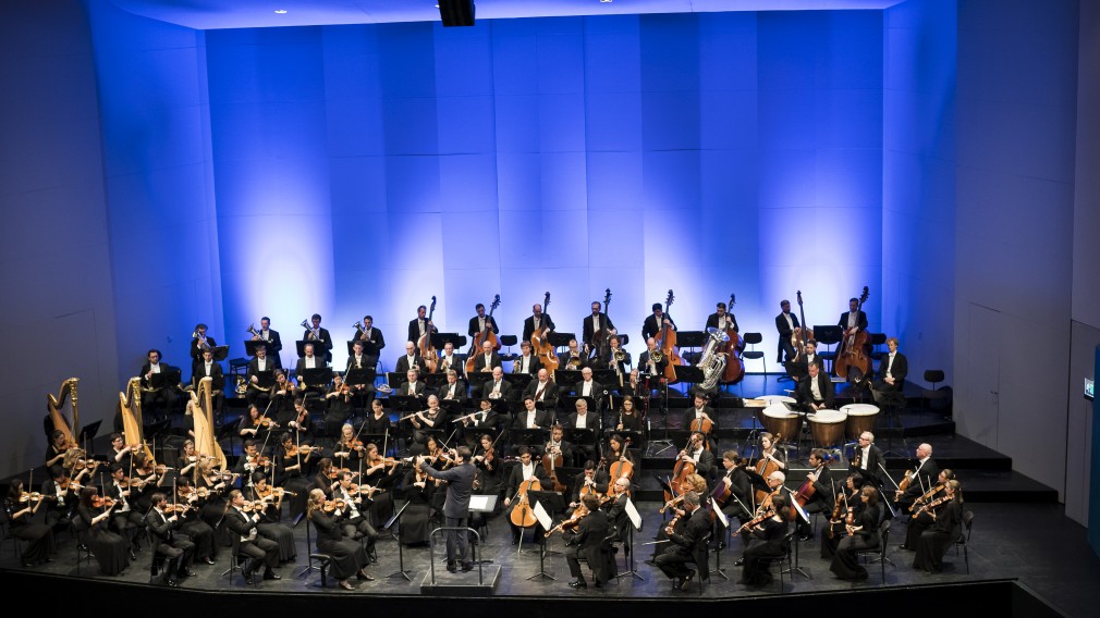 Das Tonkünstler-Orchester Niederösterreich bei einem Bühnenaufritt.