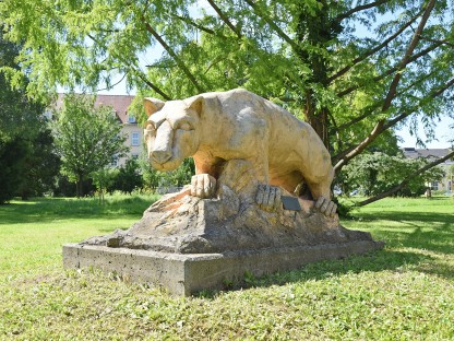 Altoona-Puma im Altoona-Park in St. Pölten. (Foto: Josef Vorlaufer)