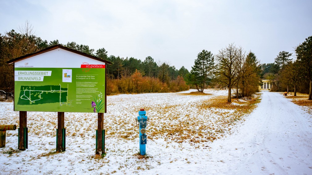 Das Spratzener Brunnenfeld und die 2014 angebrachte Infotafel. Foto: Arman Kalteis