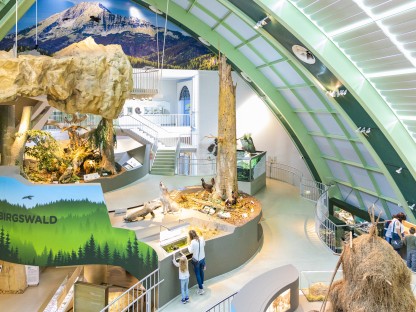 Das Haus der Natur von innen ist zu sehen. Das Bild wurde von weiter oben aufgenommen und zeigt fünf Besucher und Besucherinnen darunter zwei Kinder, die die Ausstellung bestaunen. (Foto: Theo Kust)