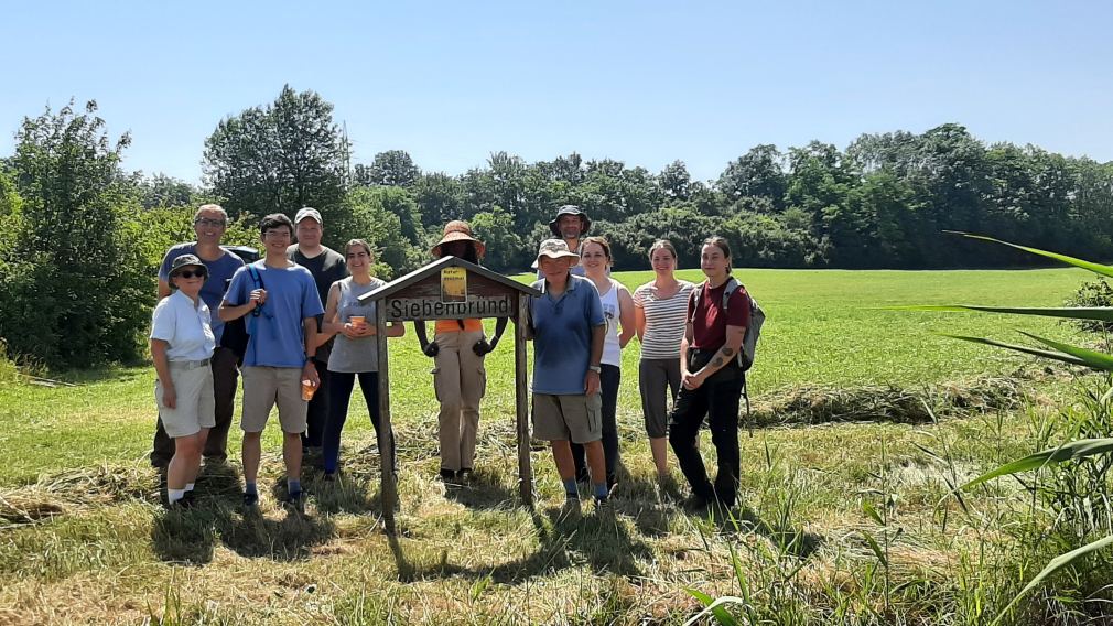 Auch dieses Jahr halfen wieder viele Freiwillige bei der Pflege des Naturdenkmals Siebenbründl. (Foto: Referat für Umweltschutz)