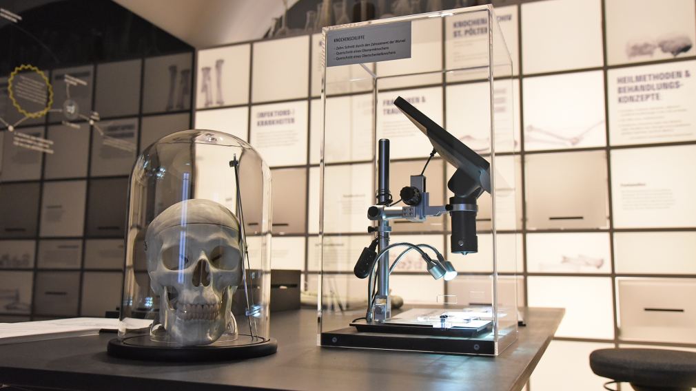 Forschungsstation mit Totenkopf und Mikroskop im Stadtmuseum. (Foto: Arman Kalteis)