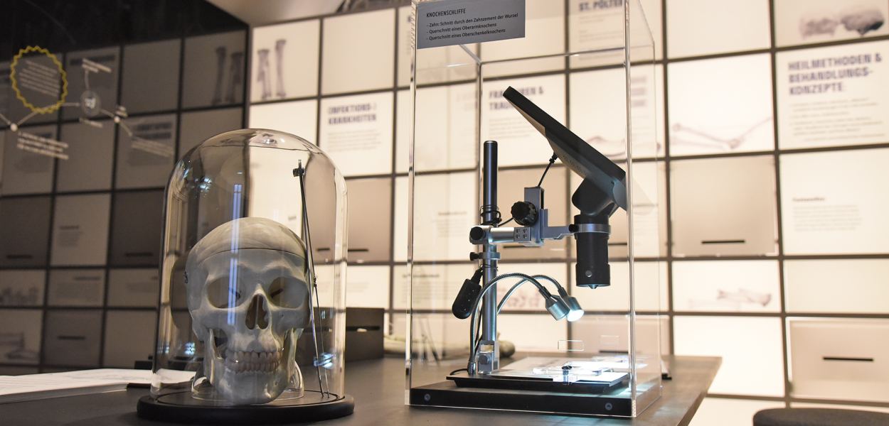 Forschungsstation mit Totenkopf und Mikroskop im Stadtmuseum. (Foto: Arman Kalteis)
