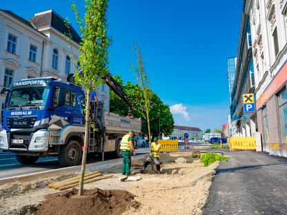 Zwei Arbeiter der Firma HAAS Garten-, Dach- und Landschaftsbau GmbH beim Pflanzen eines Rot-Ahorn-Baumes in der Linzerstraße.(Foto: Arman Kalteis)