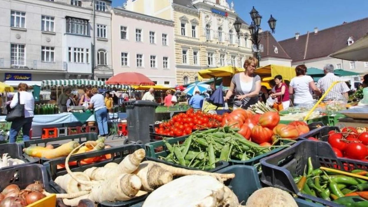 Foto: Josef Vorlaufer