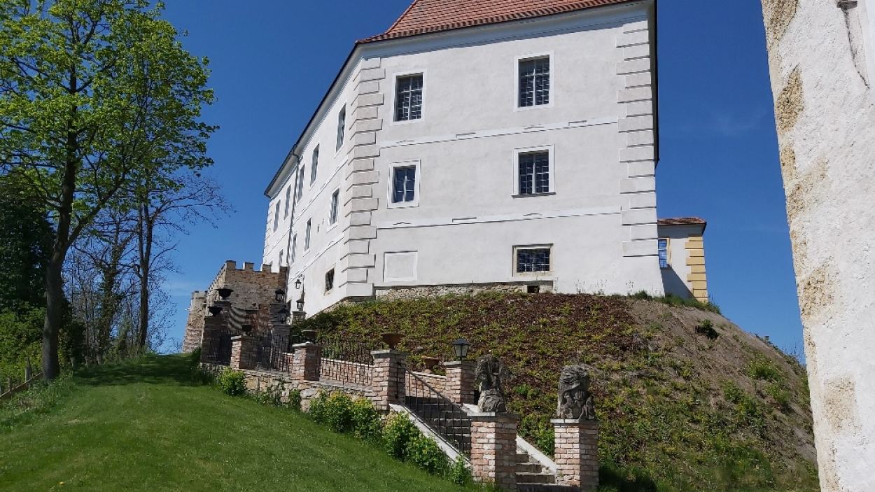 Schloss Viehofen (Matthias Weiländer)