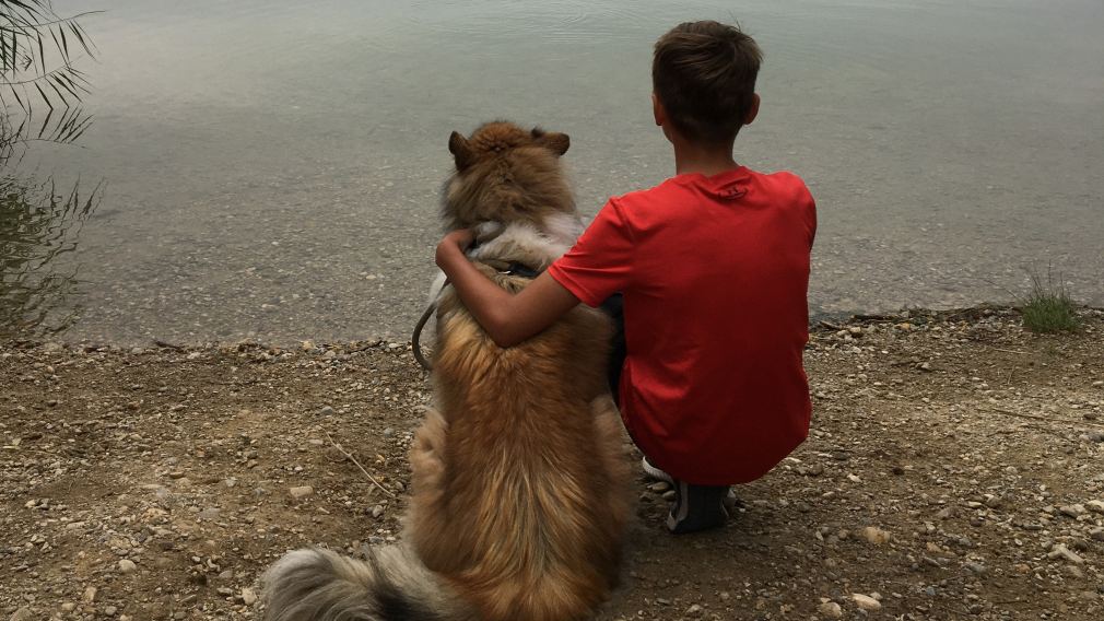 Collie Maya und Herrl Konstantin Weiländer sitzen am Ufer des Viehofner Sees.