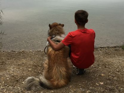 Collie Maya und Herrl Konstantin Weiländer sitzen am Ufer des Viehofner Sees.