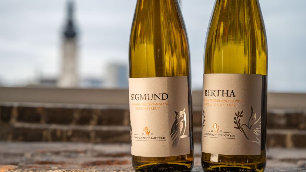 Der Grüne Veltliner „Bertha“ und der Rote Veltliner „Sigmund“ stehen in einem Fester im Rathausturm mit Blick auf den Dom. (Foto: Christian Krückel)