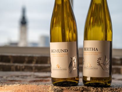 Der Grüne Veltliner „Bertha“ und der Rote Veltliner „Sigmund“ stehen in einem Fester im Rathausturm mit Blick auf den Dom. (Foto: Christian Krückel)